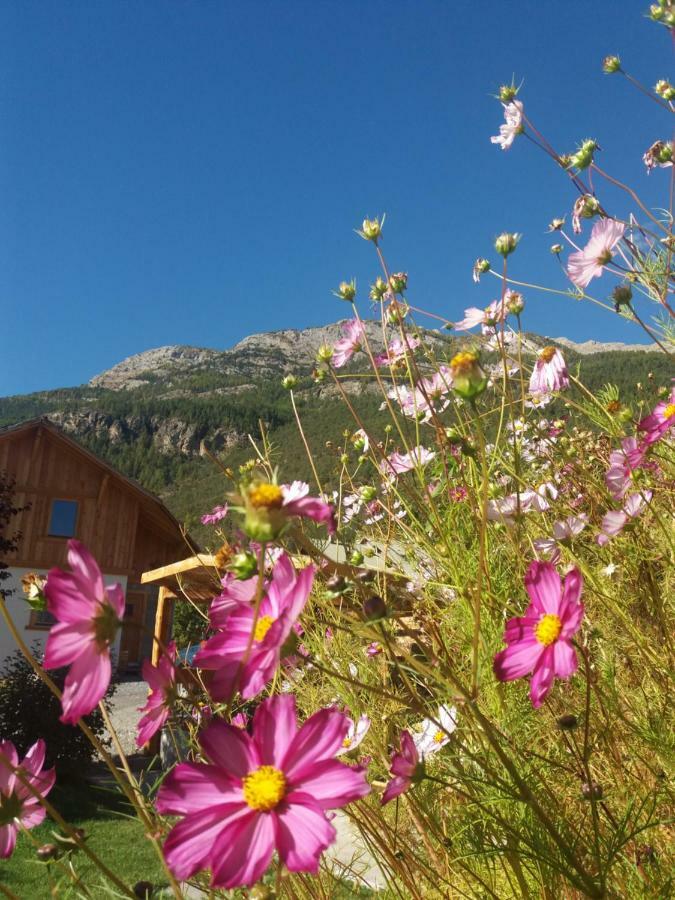 Chambres D'Hote Le Brin De Paille Saint-Martin-de-Queyrières Kültér fotó